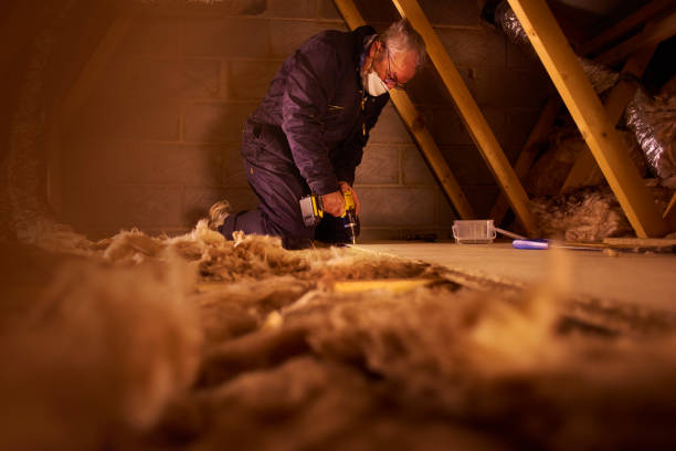 Best Attic Insulation Installation  in Lakewood Park, FL